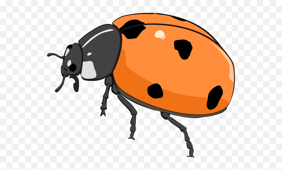 Ladybug Clipart Png In This 1 Piece Svg And - Clipart Beetle,Ladybug Icon Leaf