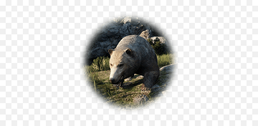 Bear - Bdo Codex Grizzly Bear Png,Grizzly Icon