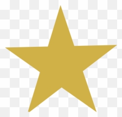 Absorbent Underwear U2013 Mama Comfy Cotton - Tampon Tribe Gold Star png