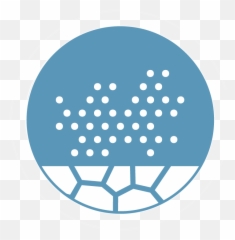 Suretech Laboratories Winfield United - Winfield United William Clark Statue On Hitsujigaoka Observation Hill Png,Sample Icon