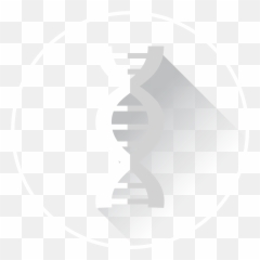 Plasmid Dna Northern Rna - Language png