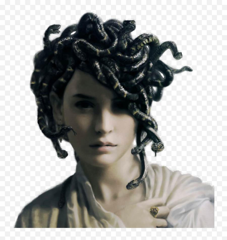 Women With Snake Hair - Medusa Avant Garde Hairstyles Png,Woman Hair Png
