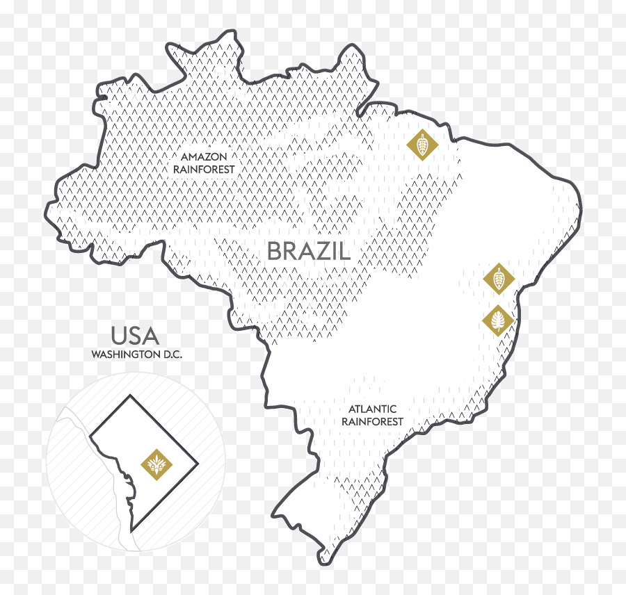 Harper Macaw - Dark Chocolate Mapa Do Brasil Branco Fundo Preto Png,Harpy Icon