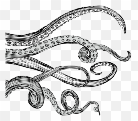 Download Hd Tentacles Png Transparent - Octopus Art