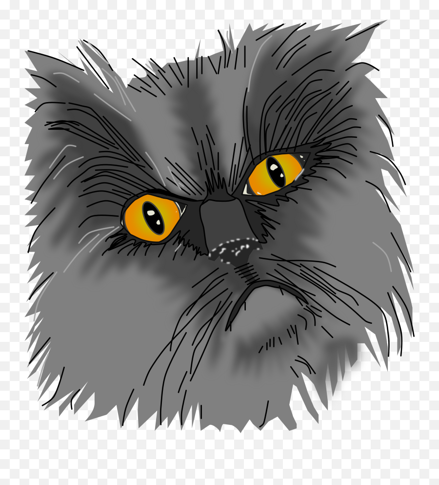 A Grumpy Cat Vector - Black Cat Png,Cat Vector Png