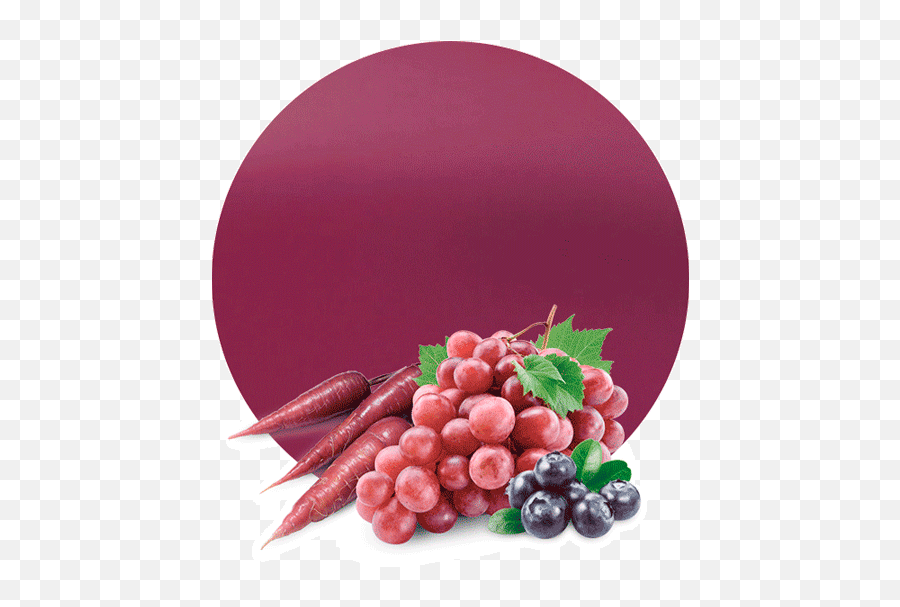 Grape Blueberry Purple Carrot U0026 Cabbage Concentrate - Raisin Red Png,Cabbage Png