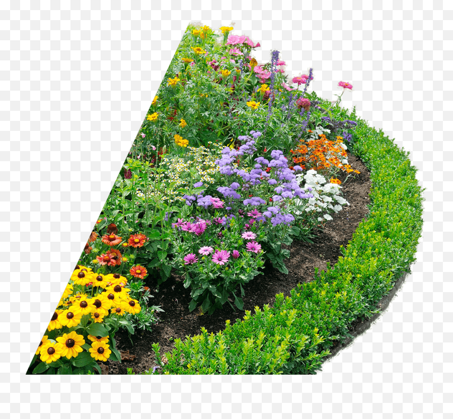 Download Beautiful Flower Bed - Perennial Flower Garden Layout Png,Flower Bed Png