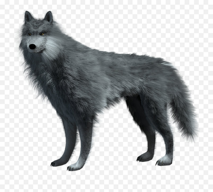 Cg Wolf Png Wolves
