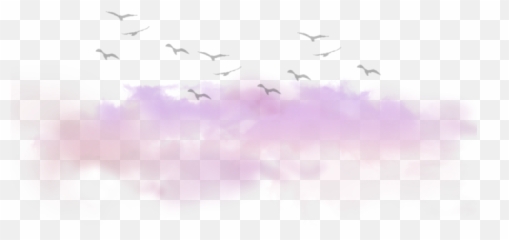 Desktop Wallpaper Pink M Computer Cloud - Bird And Png