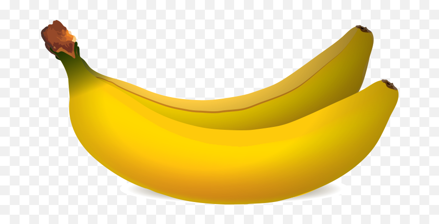 Png Transparent Two Bananas - Bananas Illustration Png,Banana Transparent