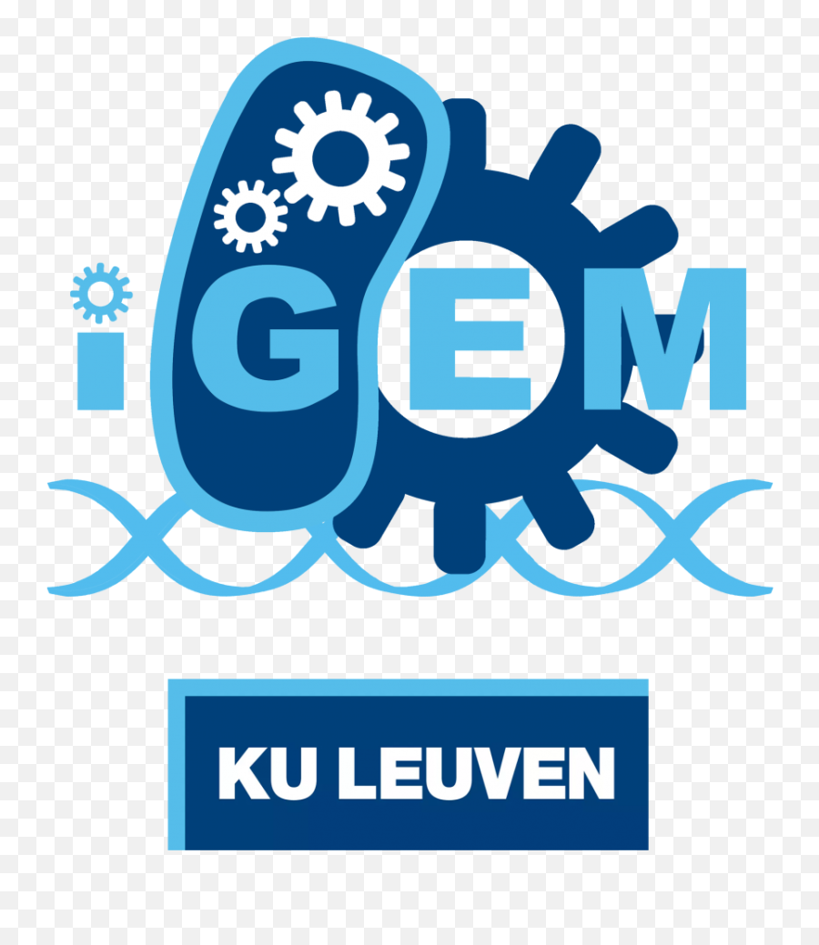 Teamku Leuvenpublic Engagement - 2019igemorg Igem 2020 Logo Png,Blank Superman Logo