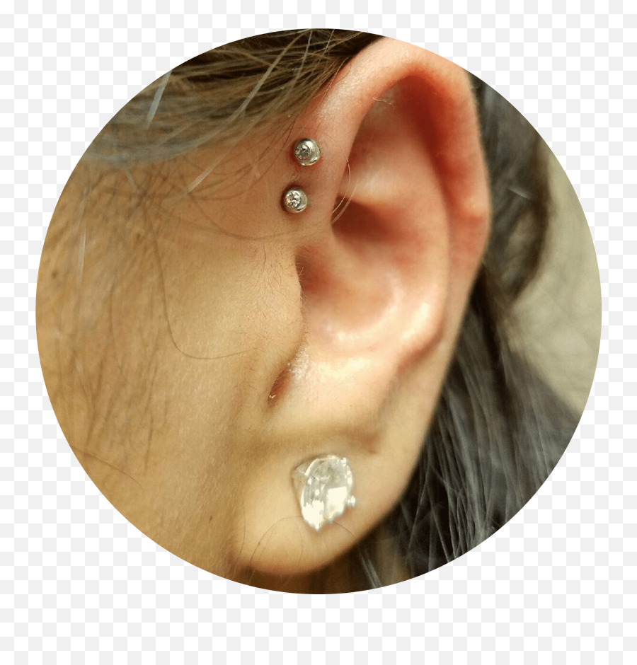 Helix Piercing Mn Nd Il Mt - Helix Piercing Png,Transparent Piercings