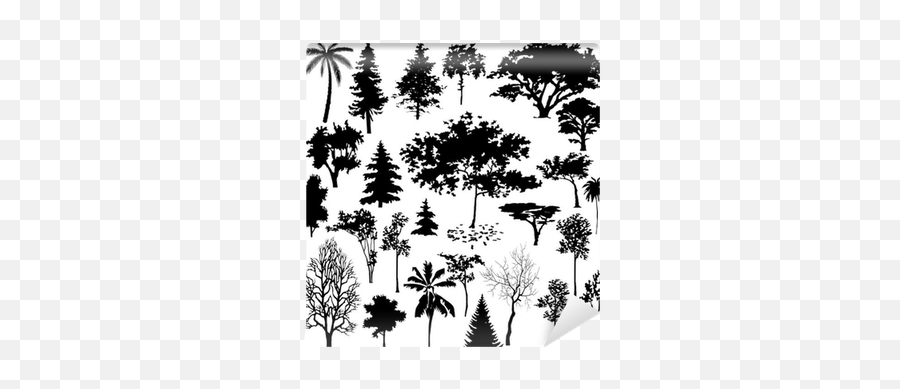Tree Leaf Branch And Grass Silhouettes Wall Mural U2022 Pixers - We Live To Change Types Of Tree Silhouettes Png,Grass Silhouette Png