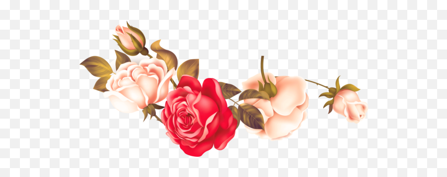 Rose Png Flower Image Free Download Searchpngcom - Garden Roses,Pink Roses Png