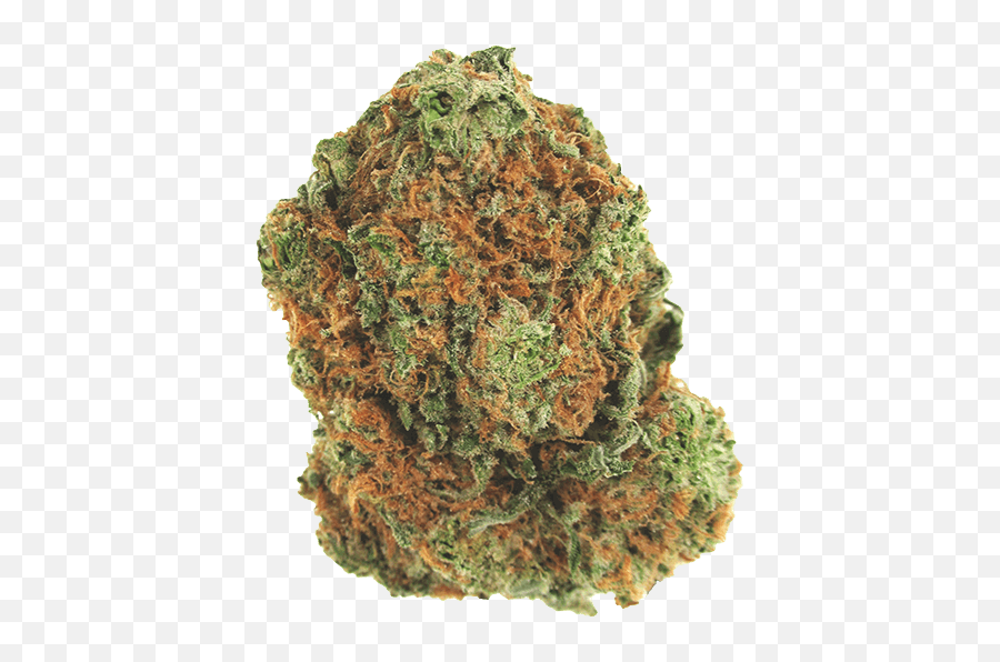 Download Sugar Cookie Hybrid Cannabis Strain - Sugar Cookie Red Pine Png,Sugar Cookie Png