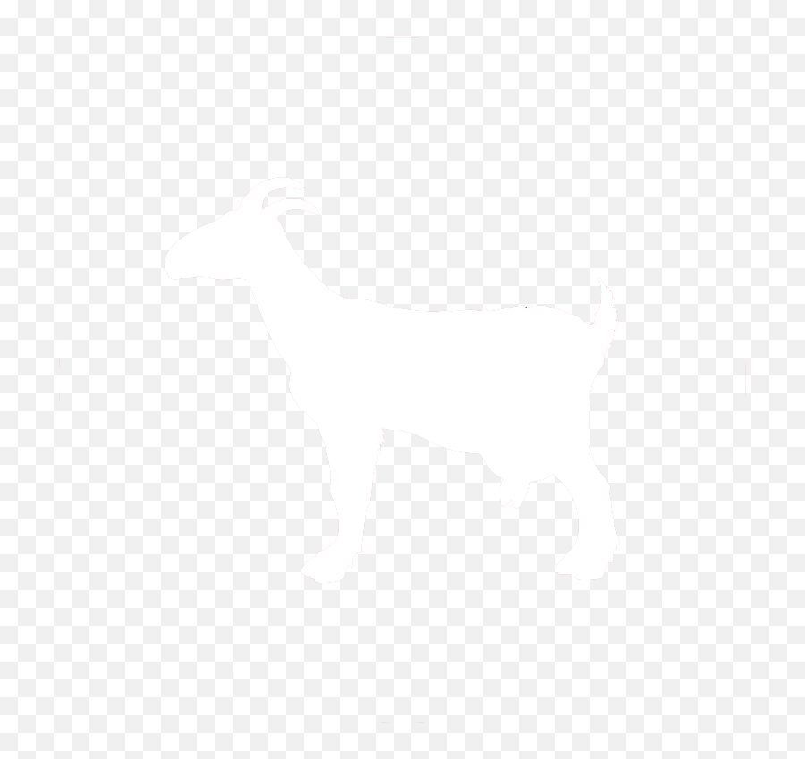 Duo - Scango Imv Imaging Usa Goat Png,Goat Transparent