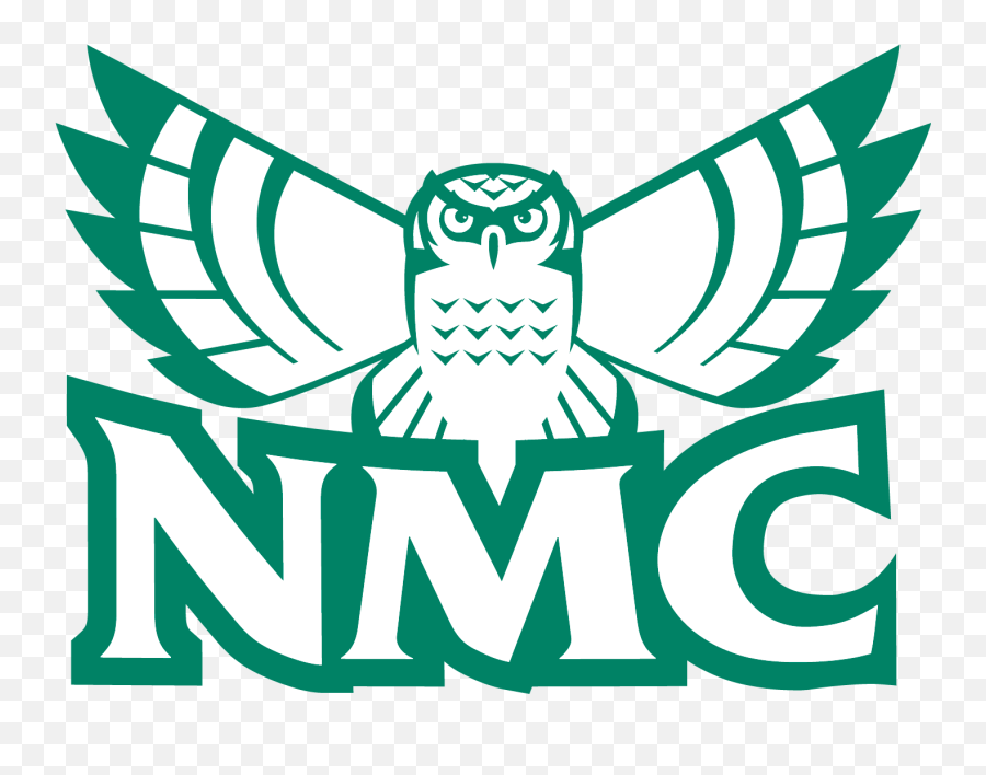 Public Relations Graphic Identity And Logos Northwestern - Northwestern Michigan College Hawk Owl Png,Linked Logo