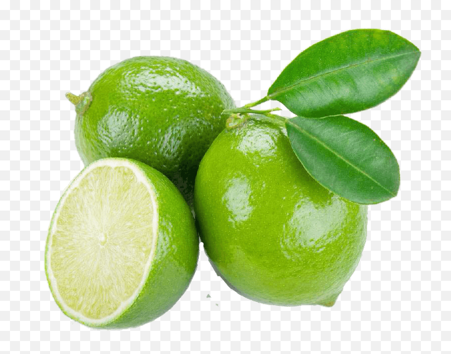 Lime - Citrus Aurantifolia Png,Limes Png