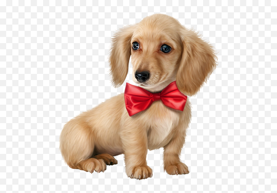 Companion Dog Ear Puppy Love Clipart - Cocker Spaniel Png,Dog Ears Png