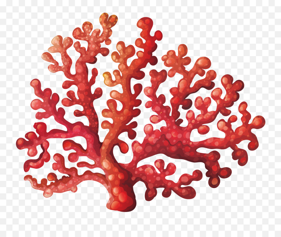 Kisspng Coral Reef Royalty Free Clip - Cartoon Colorful Coral,Coral Reef Png