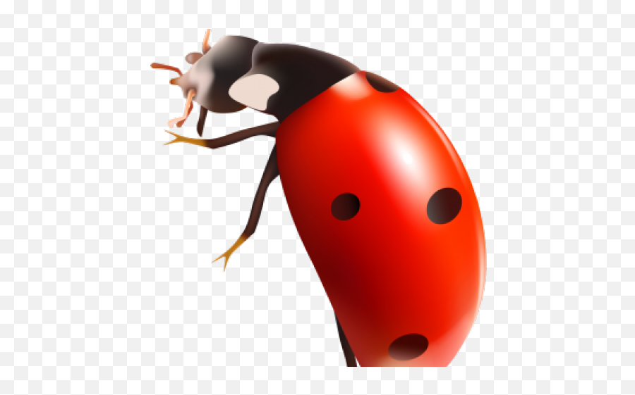 Ant Clipart Transparent Background - Ladybug Insect Png,Transparent Bug