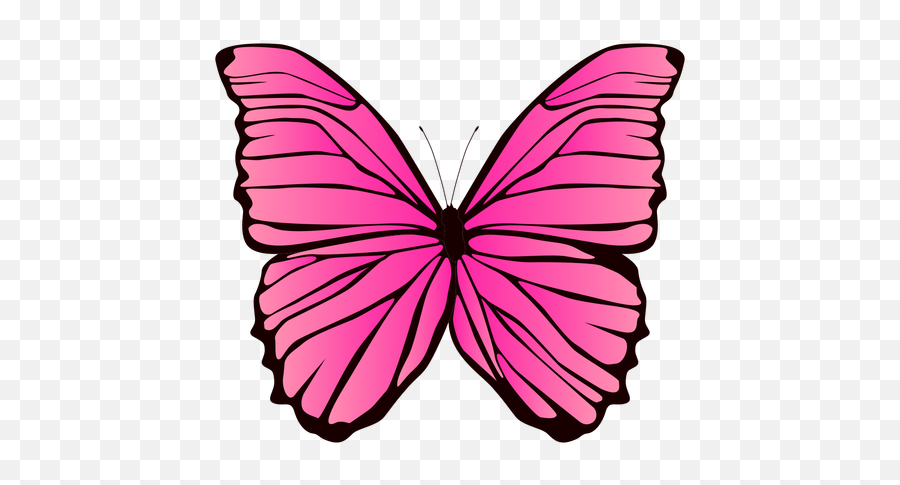 Pink Butterfly Design - Transparent Png U0026 Svg Vector File Desenho De Bo...