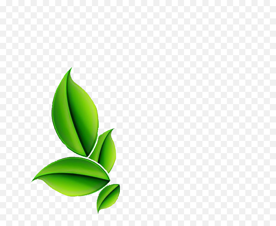 Herb Png Clipart - Herb Png Clipart,Herb Png