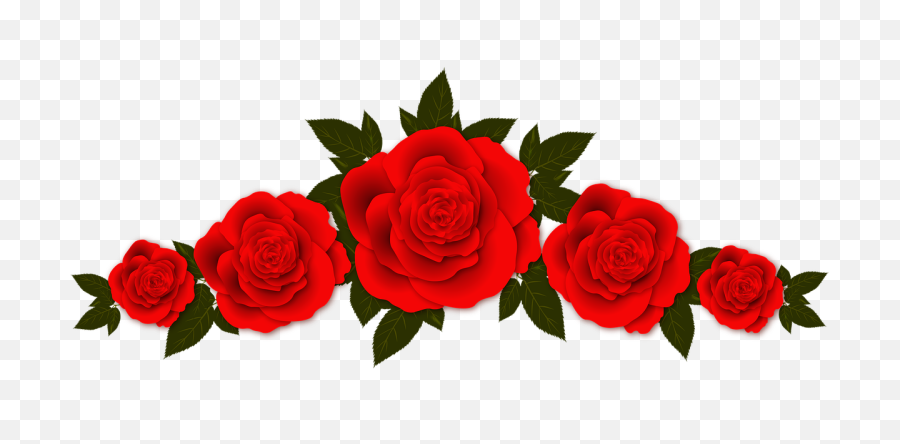 Hd Rose Flower Png 1 Image - Transparent Background Rose Clipart,Rose Png Hd