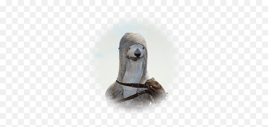 Ario - Bdo Codex Sea Otter Png,Sea Lion Icon