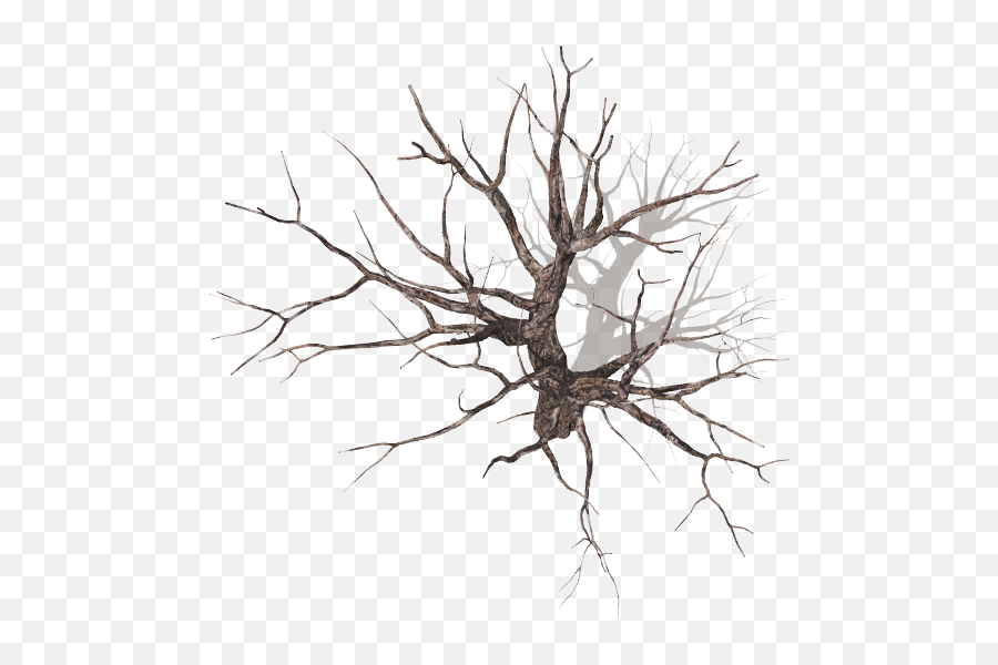 Dundjinni Mapping Software - Dead Tree Top View Png,Tree From Above Png