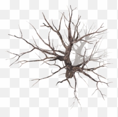 Dundjinni Mapping Software - Dead Tree Top View Png
