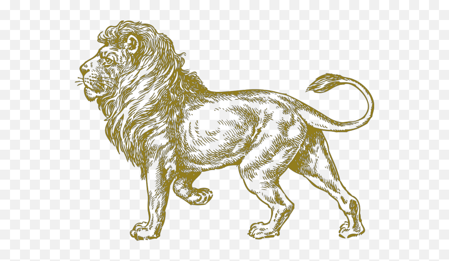 Lion Real Gold Png Svg Clip Art For Web - Download Clip Art Walking Lion Tattoo,Real Icon