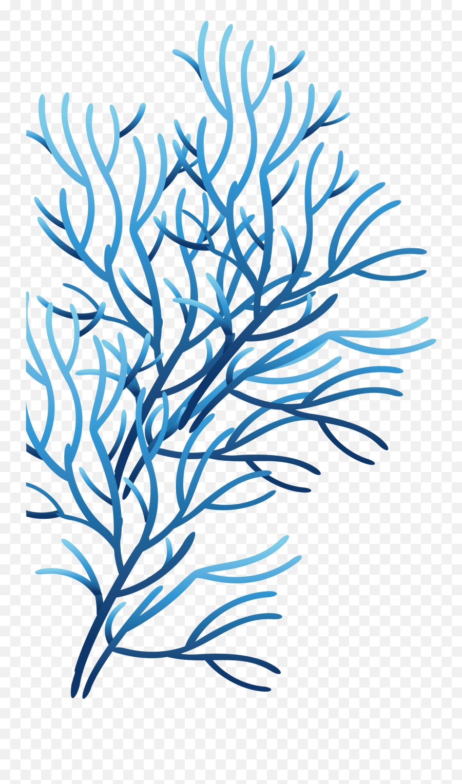 Clipart Library Coral Sea Clip Art - Blue Coral Transparent Background Png,Coral Png
