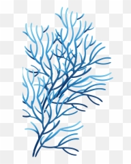 Clipart Library Coral Sea Art - Blue Transparent Background png