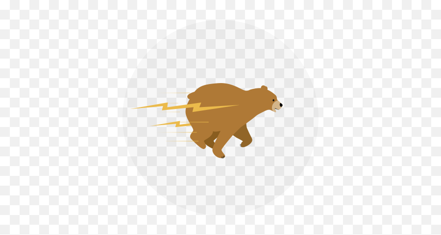 My Account U2013 Remembear - Grizzly Bear Png,Tunnelbear Icon