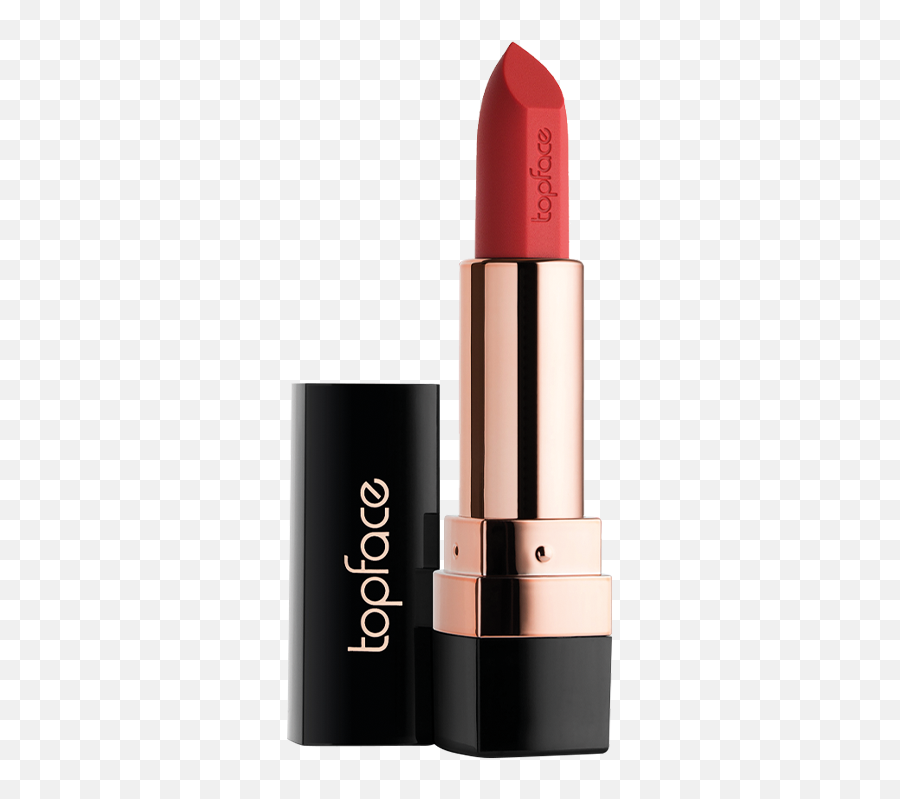 Sensitive Stylo Lipstick - Top Face Lipstick 06 Png,Lancome Fashion Icon Lipstick Swatch