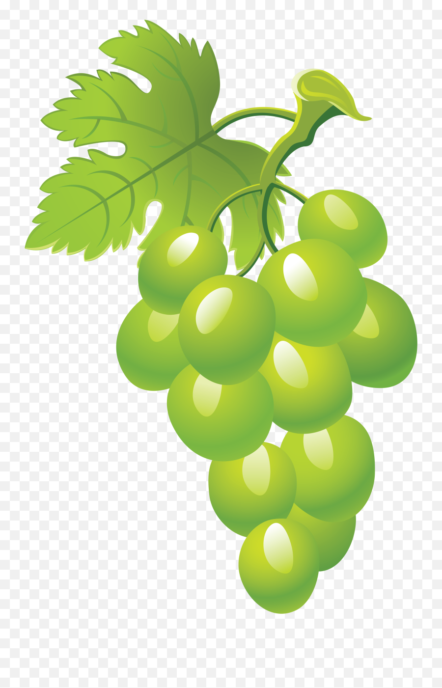 Green Grape Picture Png Image - Green Grapes Clipart,Grapes Png