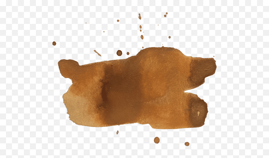 Free - Flatworm Png,Coffee Stain Png