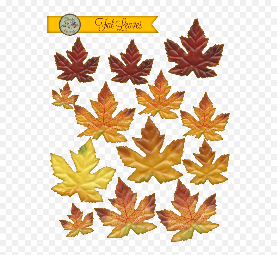 Thanksgiving Leaves Png - Download The Fall Leaves Maple Maple Leaf,Thanksgiving Leaves Png