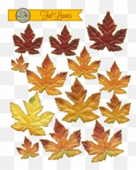 Thanksgiving Leaves Png - Download The Fall Leaves Maple Leaf