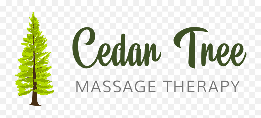 Home - Cedar Tree Massage Therapy Graphic Design Png,Cedar Tree Png