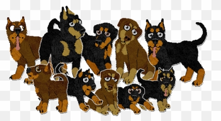 Breeds Hextraordinary - Bernese Mountain Dog Png,Doberman Png