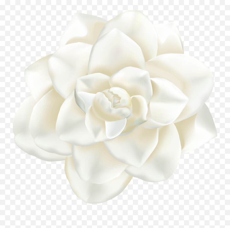 White Flower Art Png Transparent