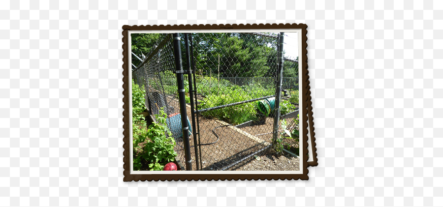 Fencing - Compost Png,Chain Link Fence Png