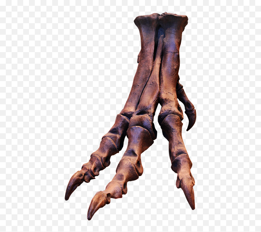 Trex Transparent Png Image Free U2013 Getintopik - T Rex Foot Skeleton,Trex Png