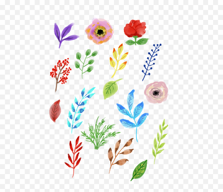 Watercolour Flower Leaves - Free Image On Pixabay Watercolour Flowers And Leaves Png,Watercolor Flower Png