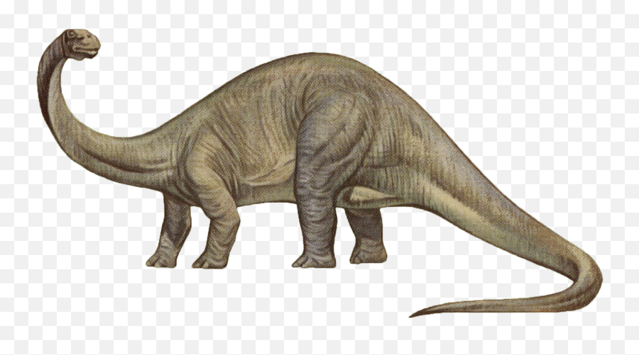 Brontosaurus Png - Dinosaur That Doesn T Eat Meat,Yee Dinosaur Png