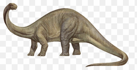 Brontosaurus Png - Dinosaur That Doesn T Eat Meat,Yee Dinosaur Png
