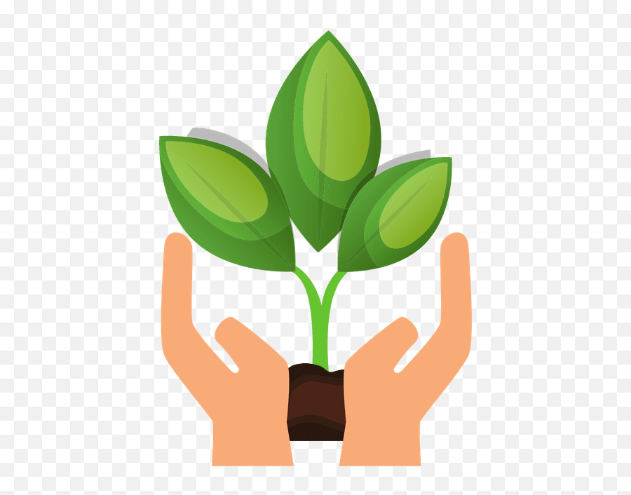 Indianapolis Adult Education - Hands Holding Plant Png,Continuing Education Icon
