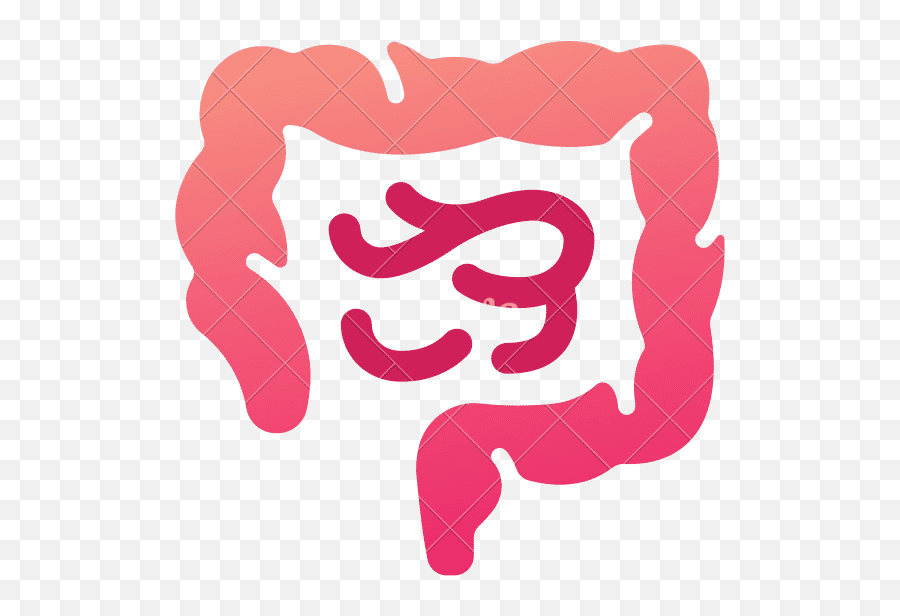 Intestine Medical Icon Gradient - Canva Language Png,Intestine Icon